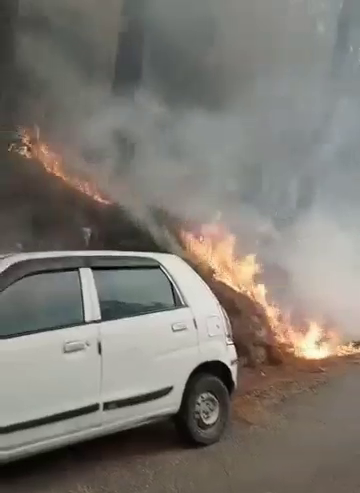 FOREST FIRES IN CHAMOLI