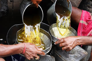Edible oil