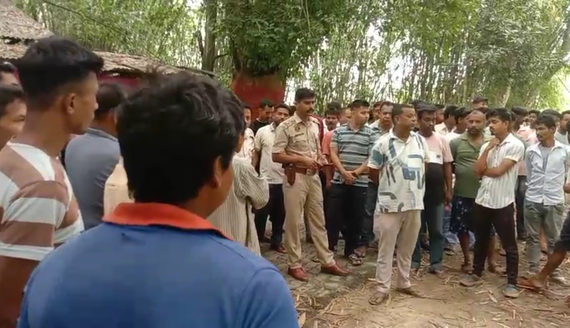 Mahout killed in a domestic elephant attack