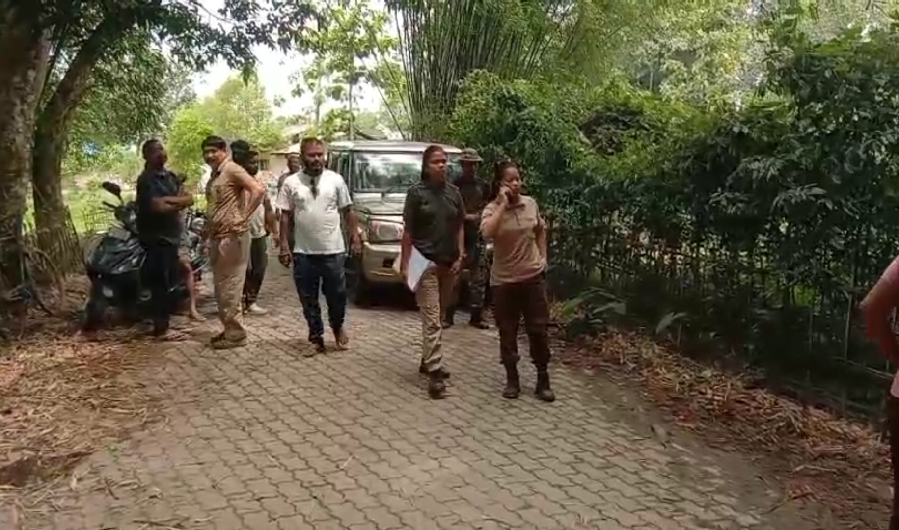 Mahout killed in a domestic elephant attack