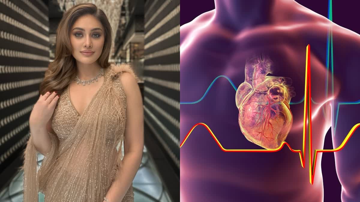 kaanta laga girl shefali jariwala death reason cardiac arrest top 5 major risk factors