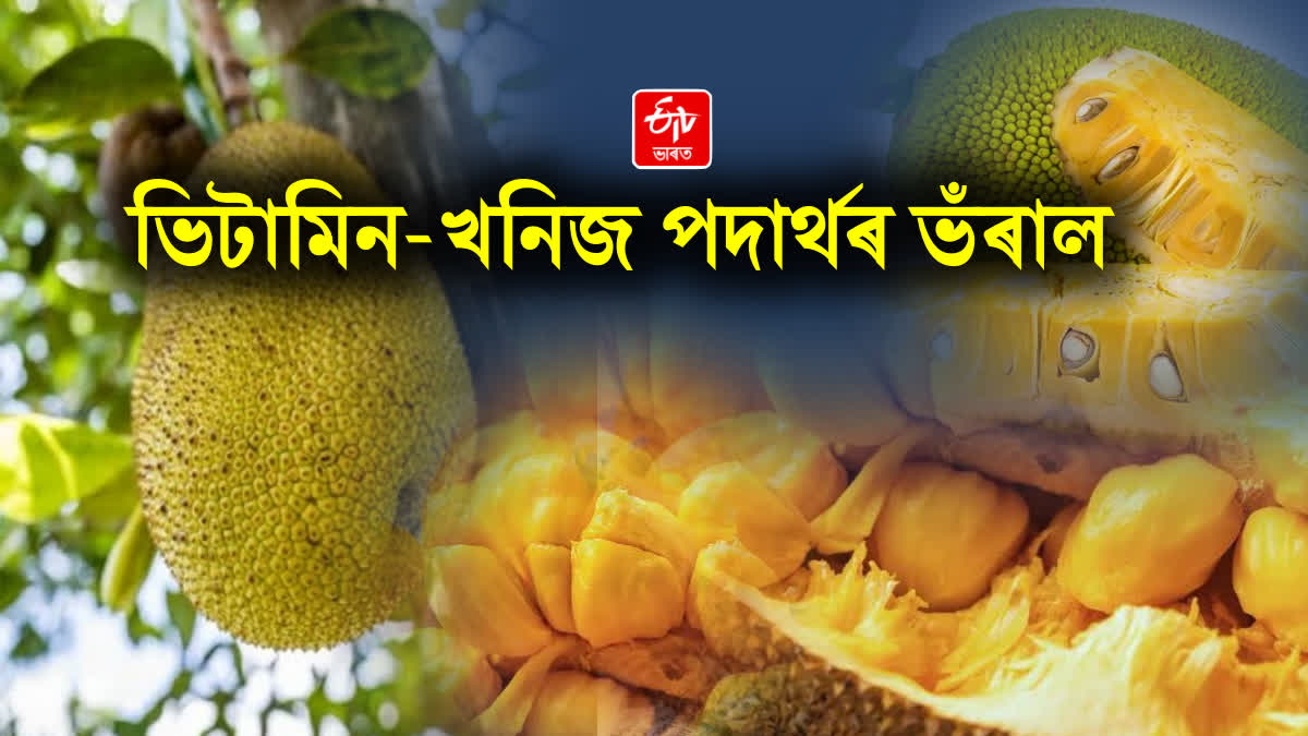 benefits of jackfruit