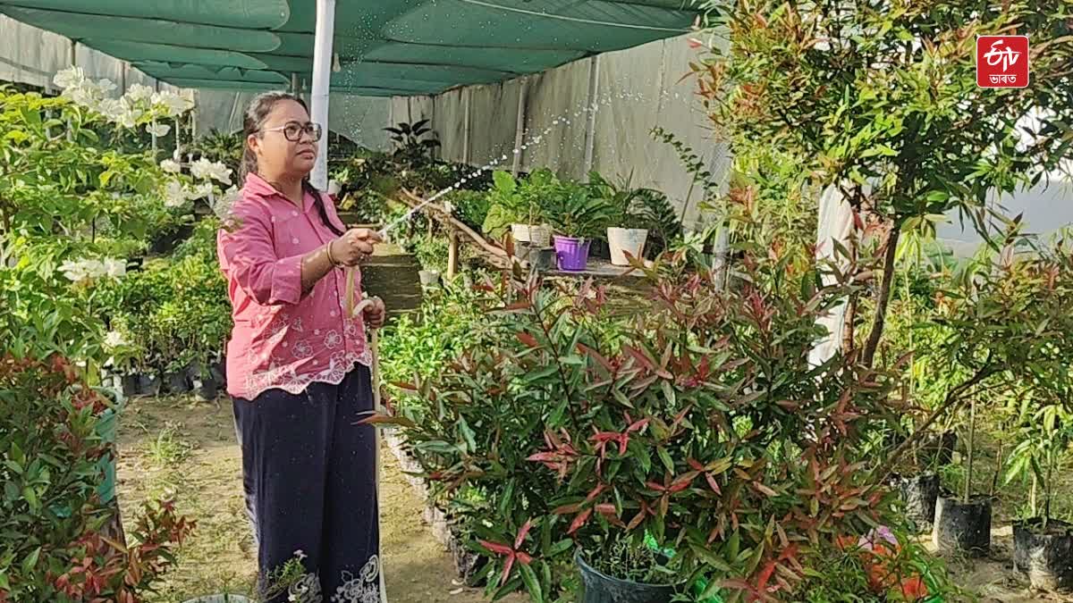 Tinsukia woman entrepreneur