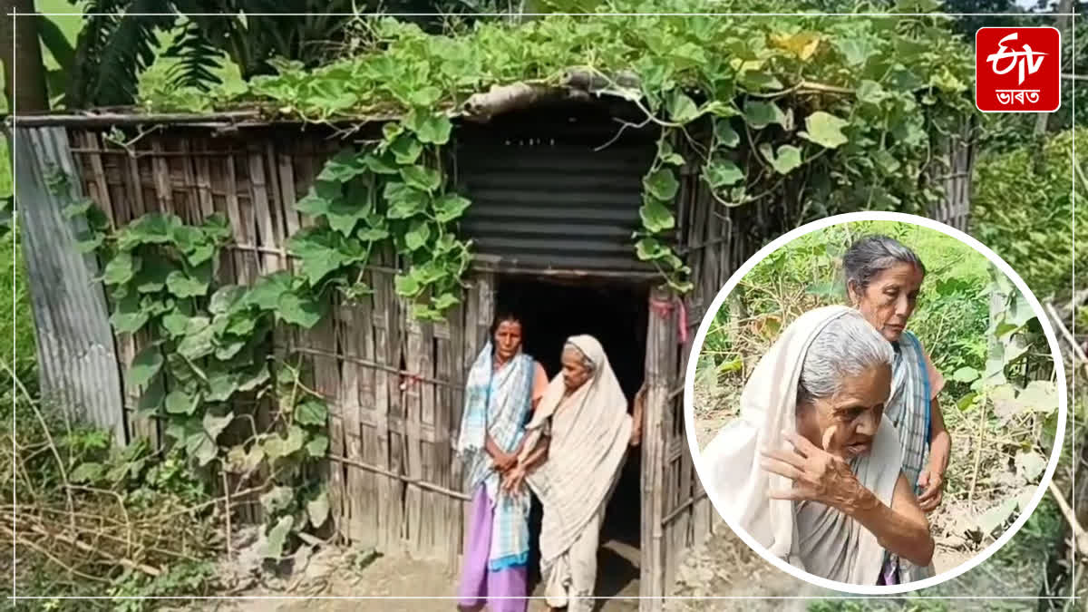 Development vs reality a poor grandmother fight for survival in Majuli