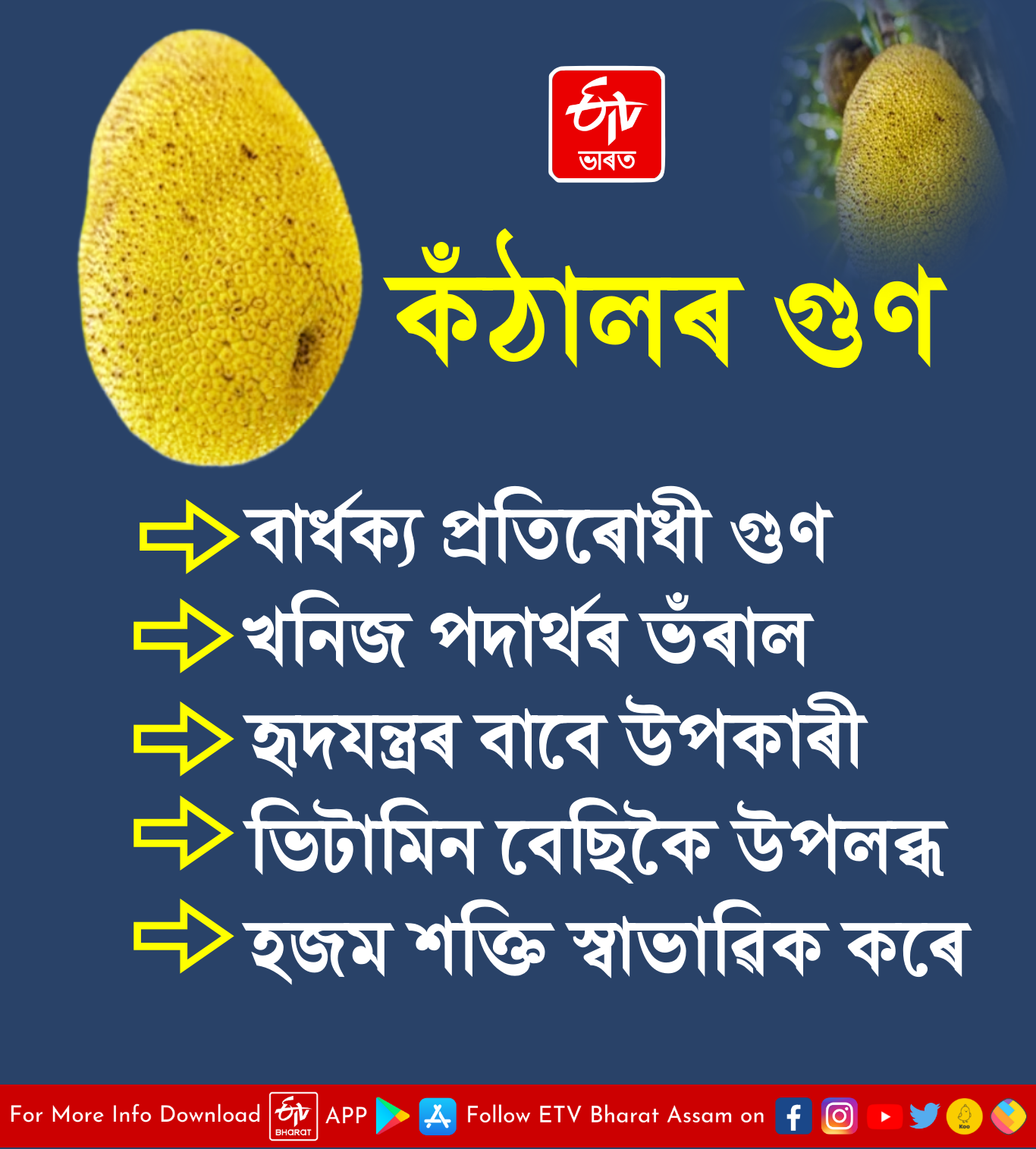 benefits of jackfruit