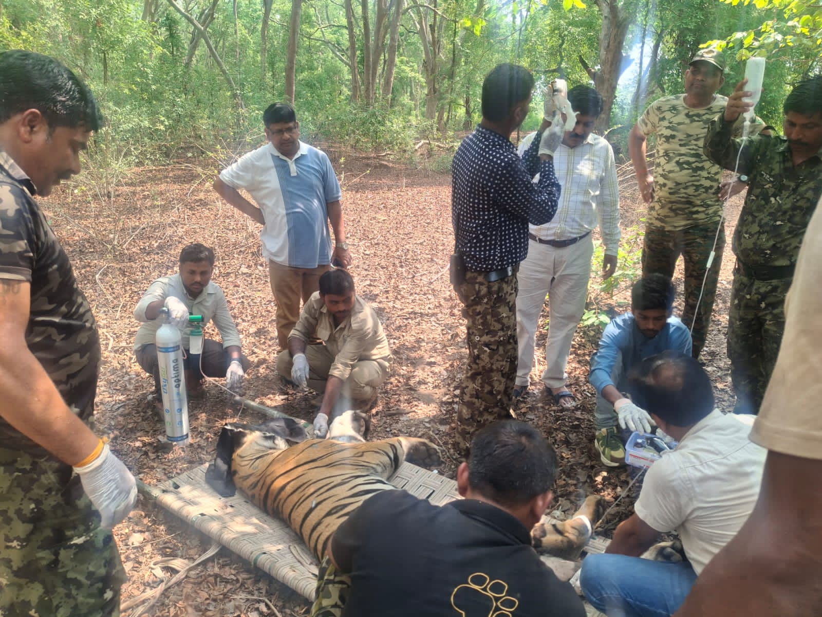 UMARIA BANDHAVGARH TIGER RESERVE