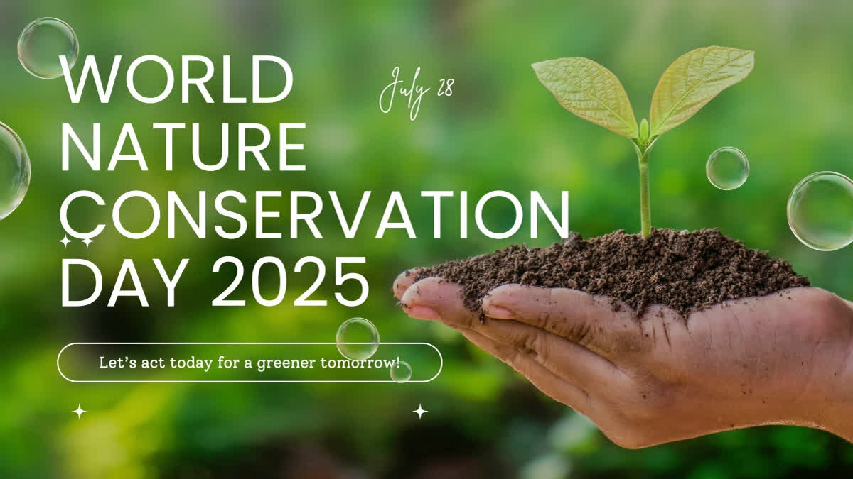World Nature Conservation Day 2025: Where To Volunteer For India’s Wild Places And Wise Futures World Nature Conservation Day