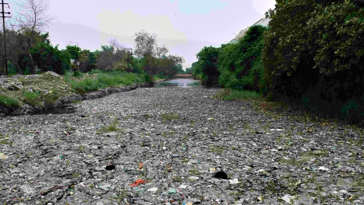 Sahibabad Drain Remains Major Contributor To Yamuna Pollution Sahibabad drain, heavily polluted with industrial and domestic waste, remains a major contributor to Yamuna pollution despite NGT orders and government claims.
