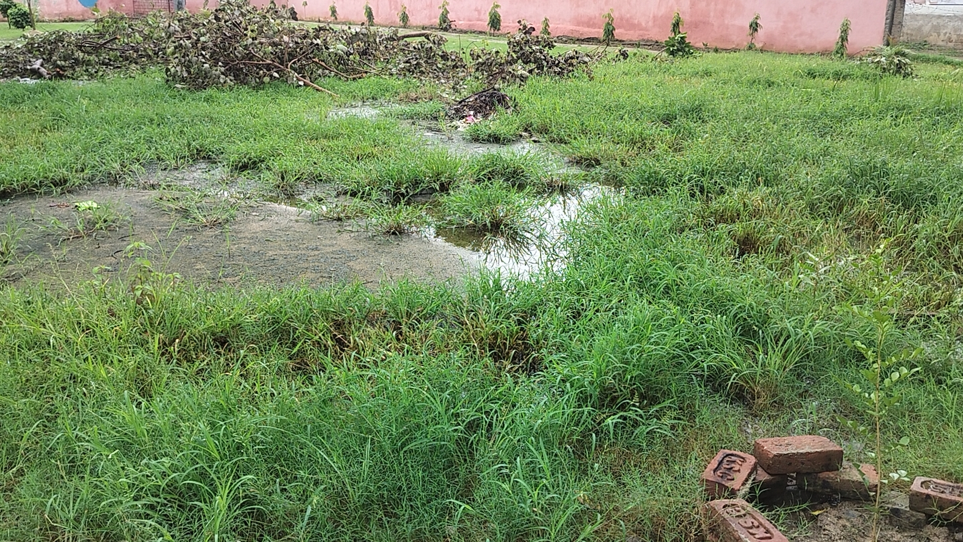 Government Middle School at Suryapura village of Bodh Gaya block in Gaya
