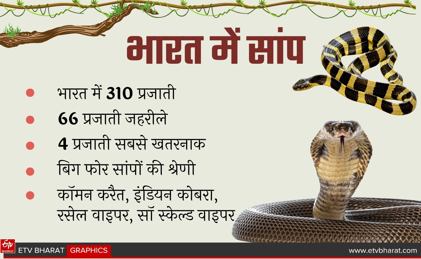 ONE YEAR CHILD BITES COBRA