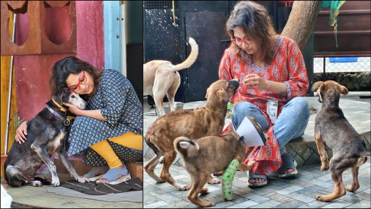 ‘Microchipping Could Transform The Way Indian Cities Care For Community Animals’: Priya Kailad From Pune’s Karma Foundation