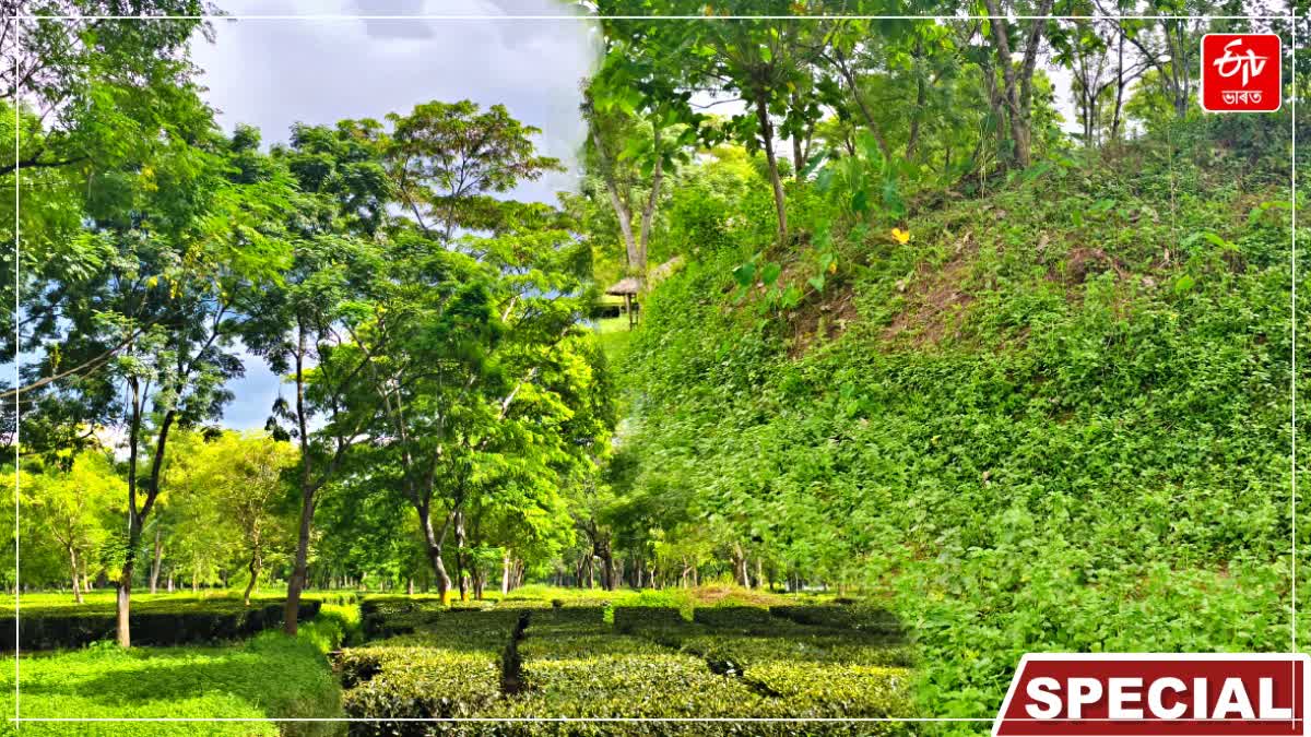 history of the heritage site Dasharath Bahikhowa Borphukan Maidam