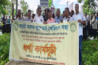 small tea growers protest