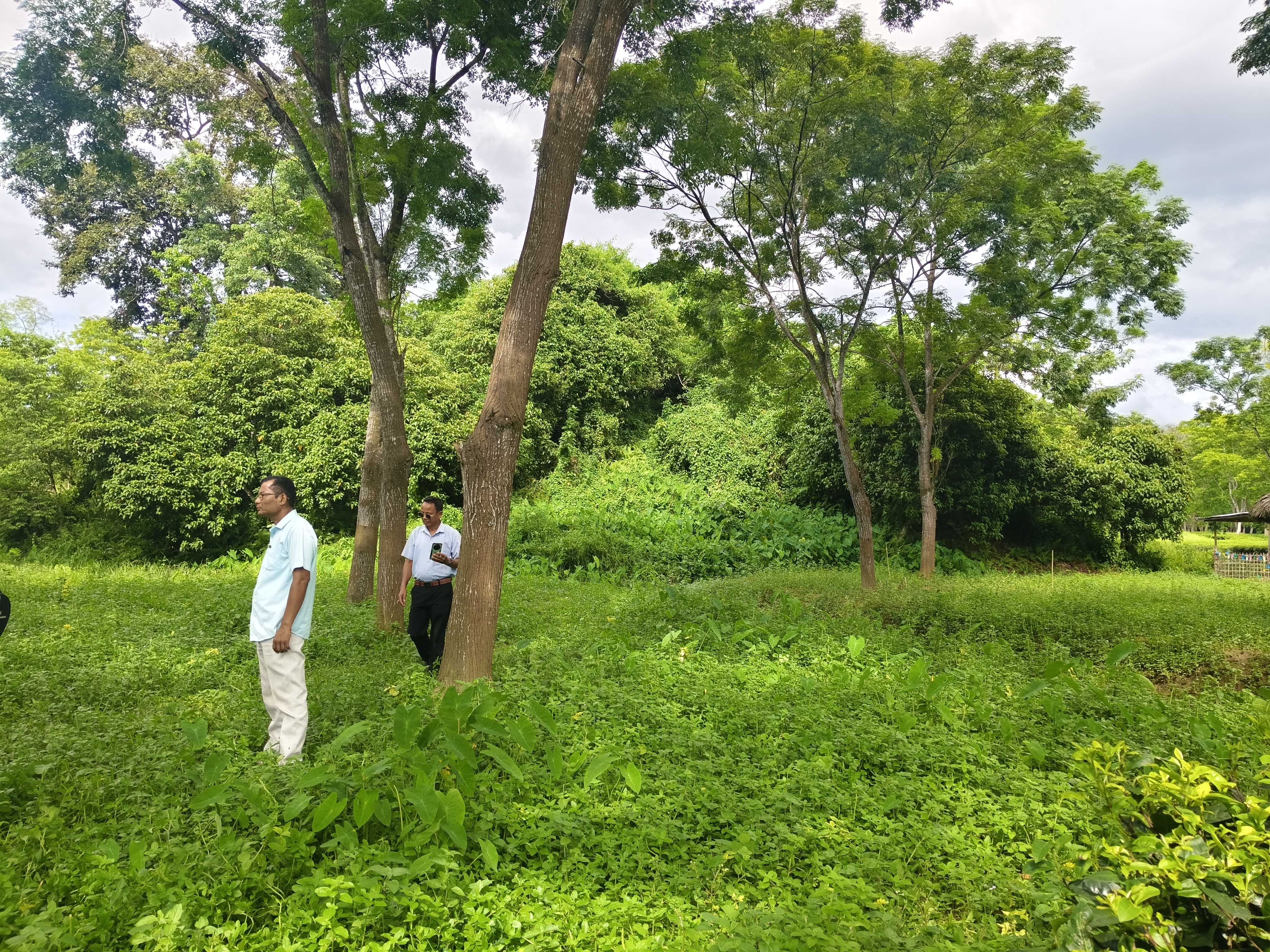 history of the heritage site Dasharath Bahikhowa Borphukan Maidam