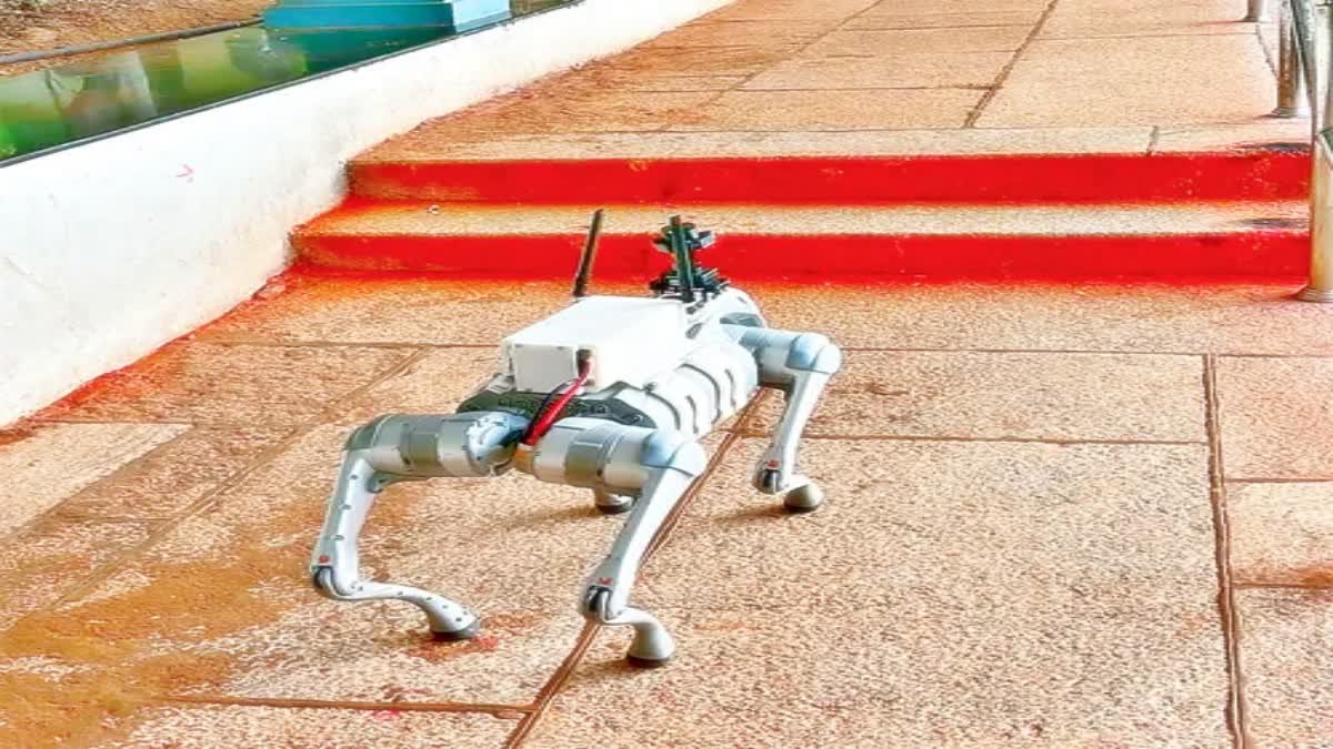 Robot Dog in Tirumala Devotees