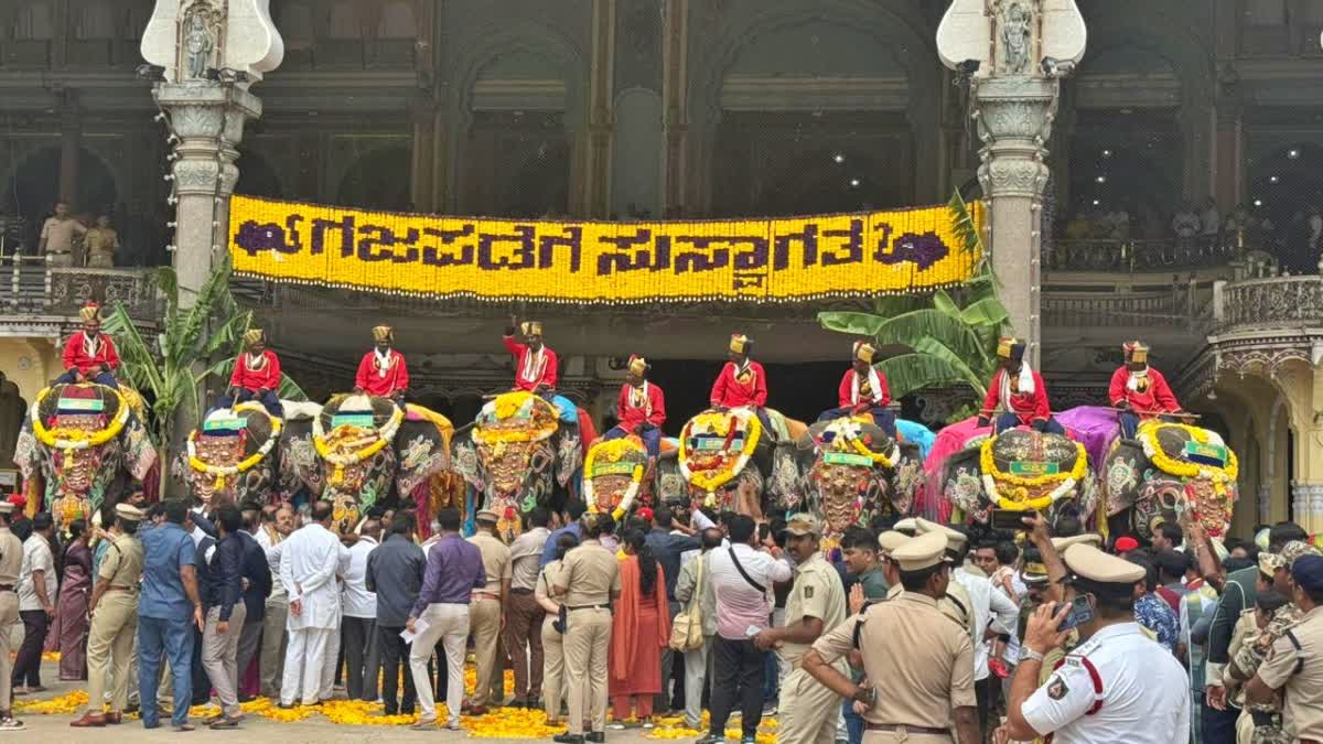 MYSURU  ದಸರಾ ಗಜಪಡೆ  MYSURU DASARA 2026  ಅರಮನೆ
