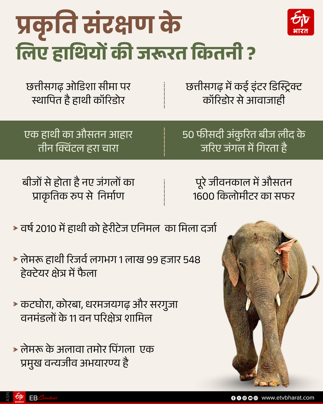 ELEPHANT CORRIDORS