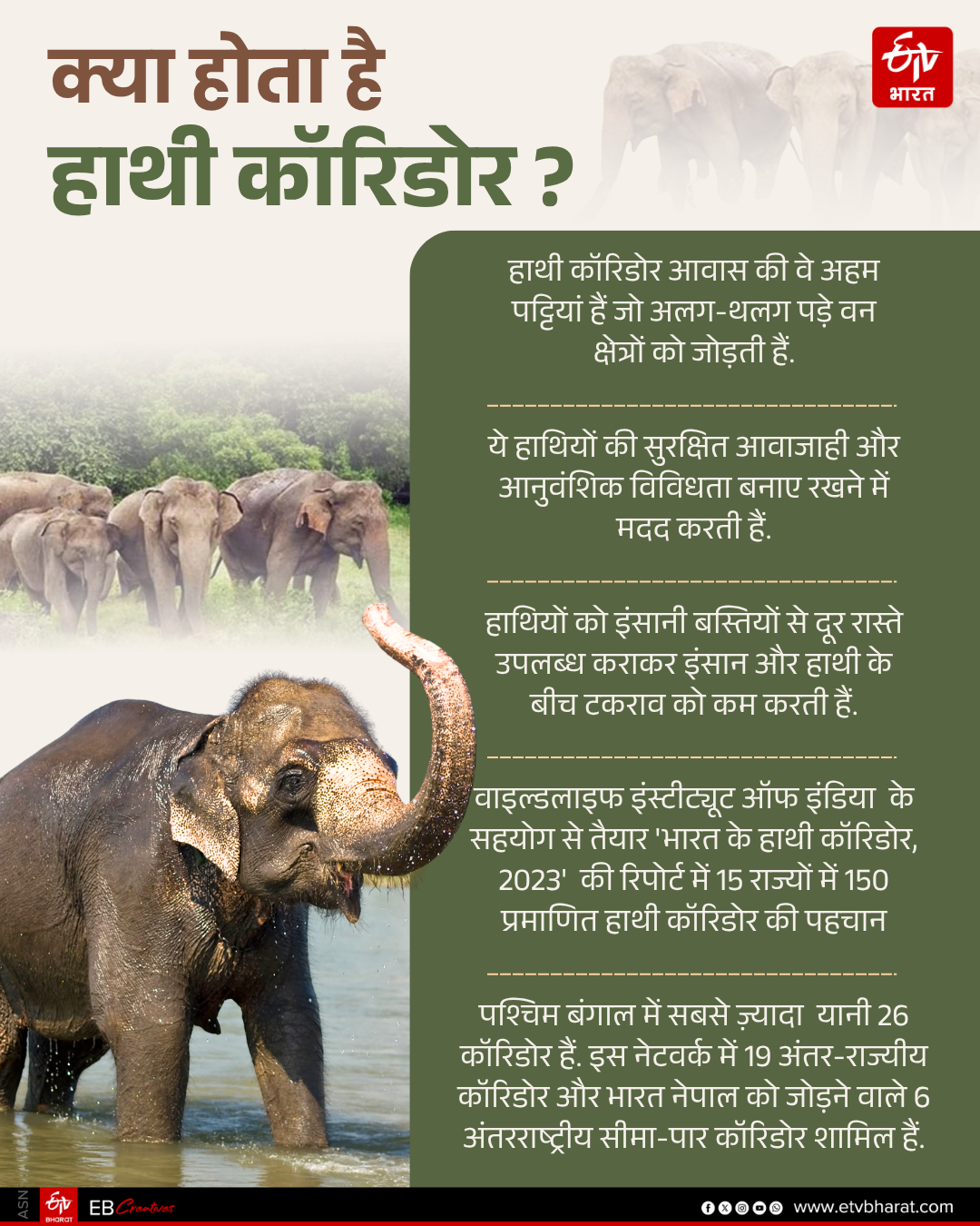 ELEPHANT CORRIDORS
