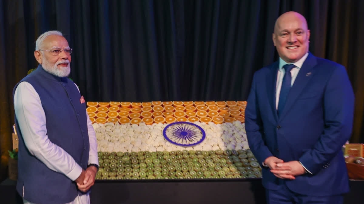 India New Zealand defence ties gain strategic heft in Indo Pacific, Urdu News