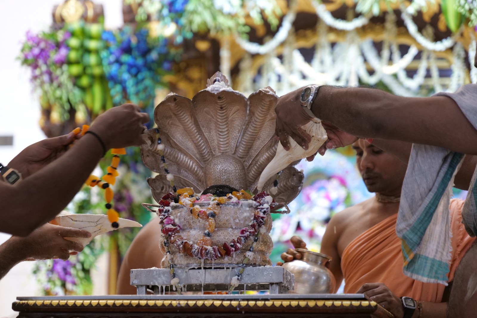 सौ. मीडिया सेल, इस्कॉन