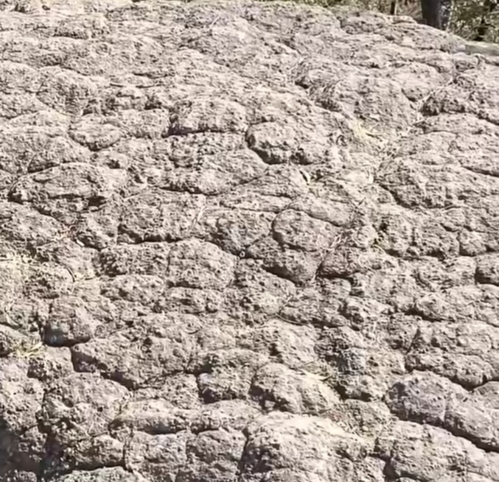 OLDEST LAND IN JHARKHAND