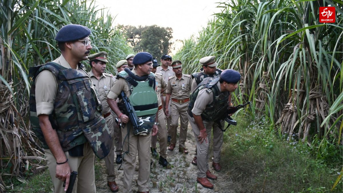 Wanted In Dozens Of Cases, Criminal Naeem Qureshi Killed In Police Encounter In UP's Muzaffarnagar