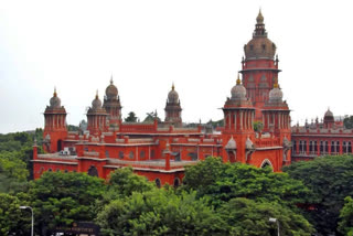 Karur Stampede: Injured Man Moves Madras HC To Ban Vijay's Rallies; TVK Demands CBI Probe