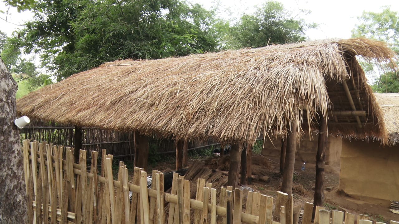 A view of the traditional Bodo tribal home
