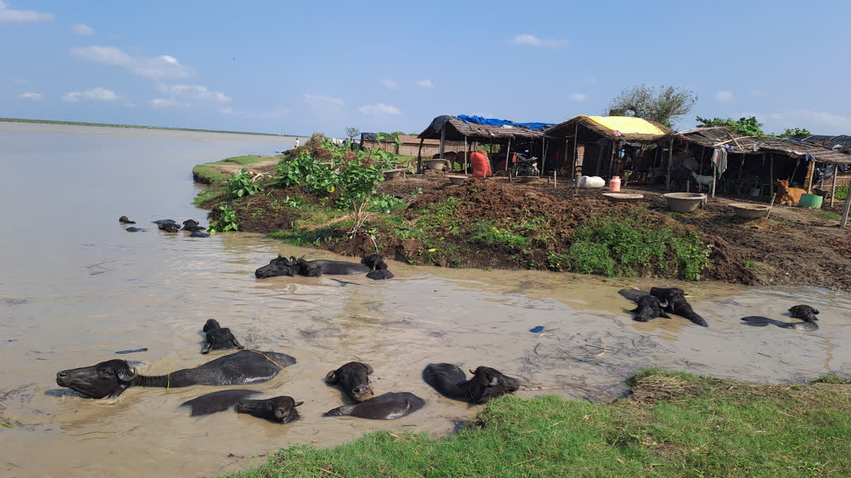 Heavy Rainfall In Nepal Leads To Fresh Floods In Bihar