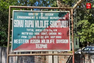 Sonai Rupai Wildlife sanctuary