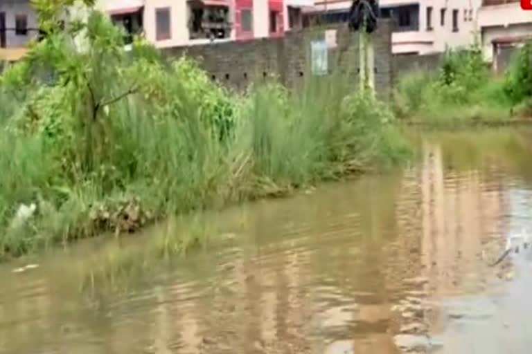 बारिश थमी, लेकिन जलजमाव से बीमारियों का खतरा बरकरार, डेंगू-मलेरिया समेत  जलजनित रोगों को लेकर सिविल सर्जन ने किया अलर्ट