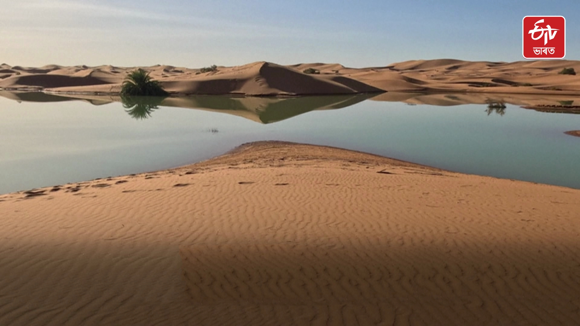 Rare Sahara Floods