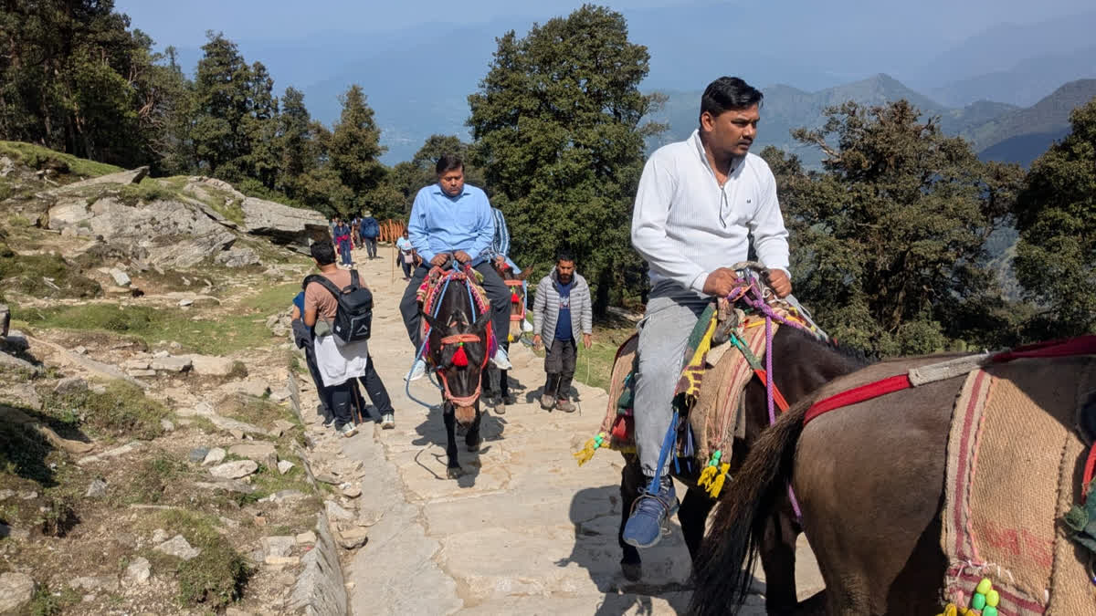 On Their Way To Chandrashila And Tungnath Dham, Trekkers Are Trampling ...