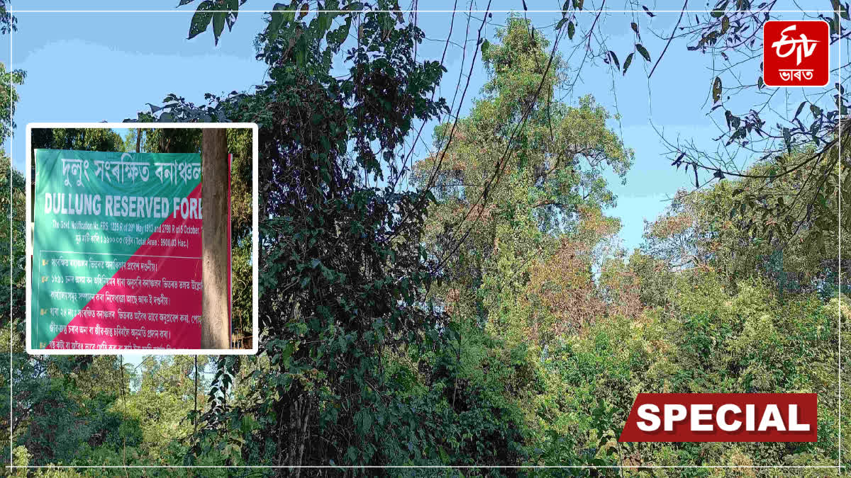 Dolung Reserve Forest