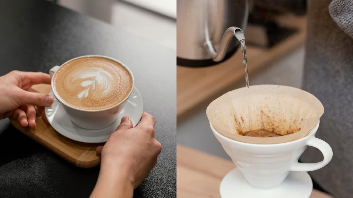 Melitta Bentz: The Housewife Who Invented South Indian Filter Coffee