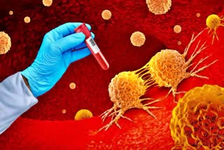 This vitamin can prevent many serious cancers; learn how to avoid its deficiency in the body