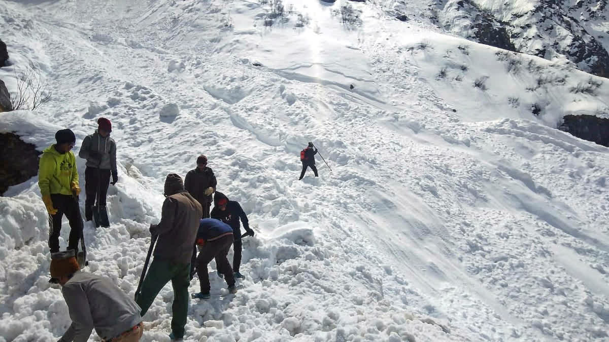 Gurugram Trekker Gone Missing On Kuari Pass In Uttarakhand’s Chamoli; Search Ops On