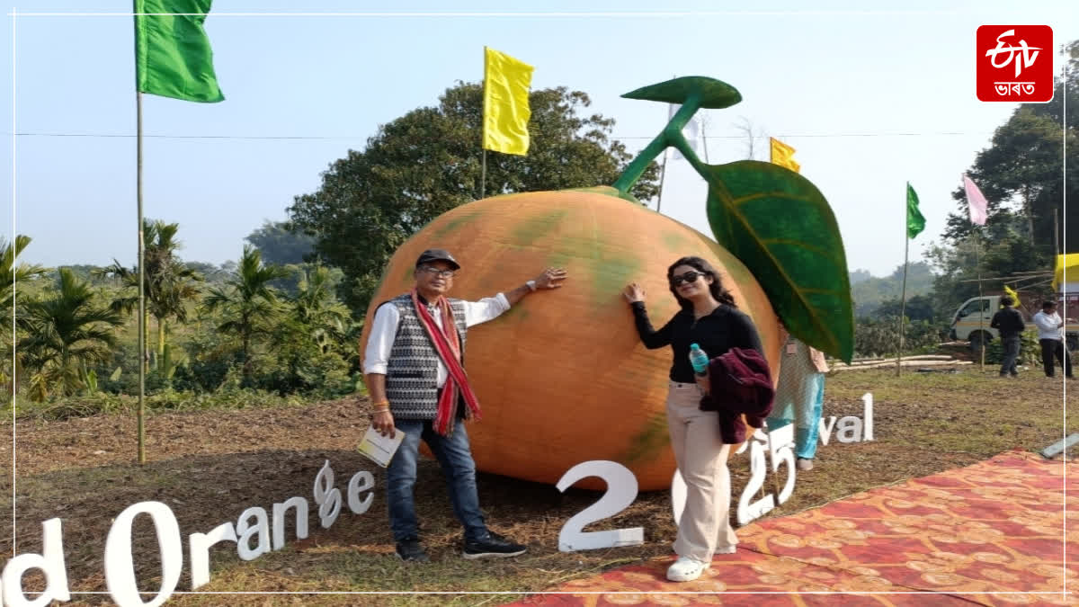 Ampri Valley Orange Festival 2025 has begun in Dimoria