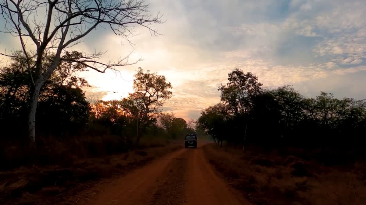 MP TIGER RESERVES BOOKING FULL