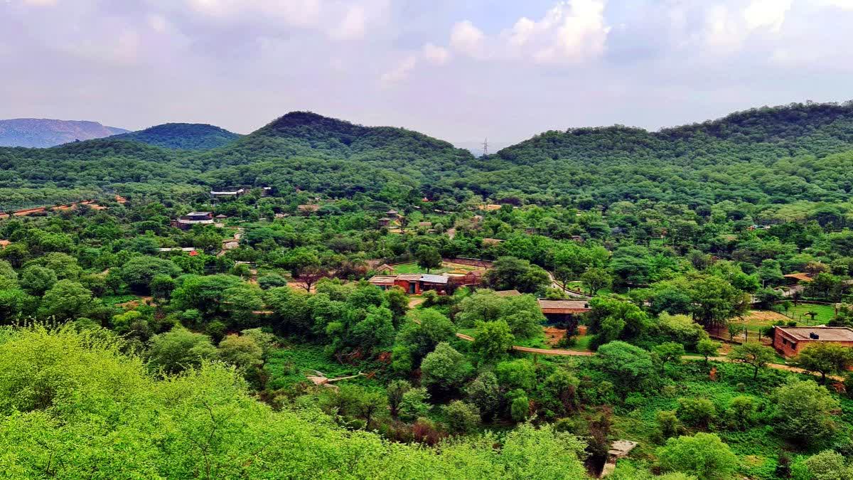 ARAVALLI HILLS REDEFINED