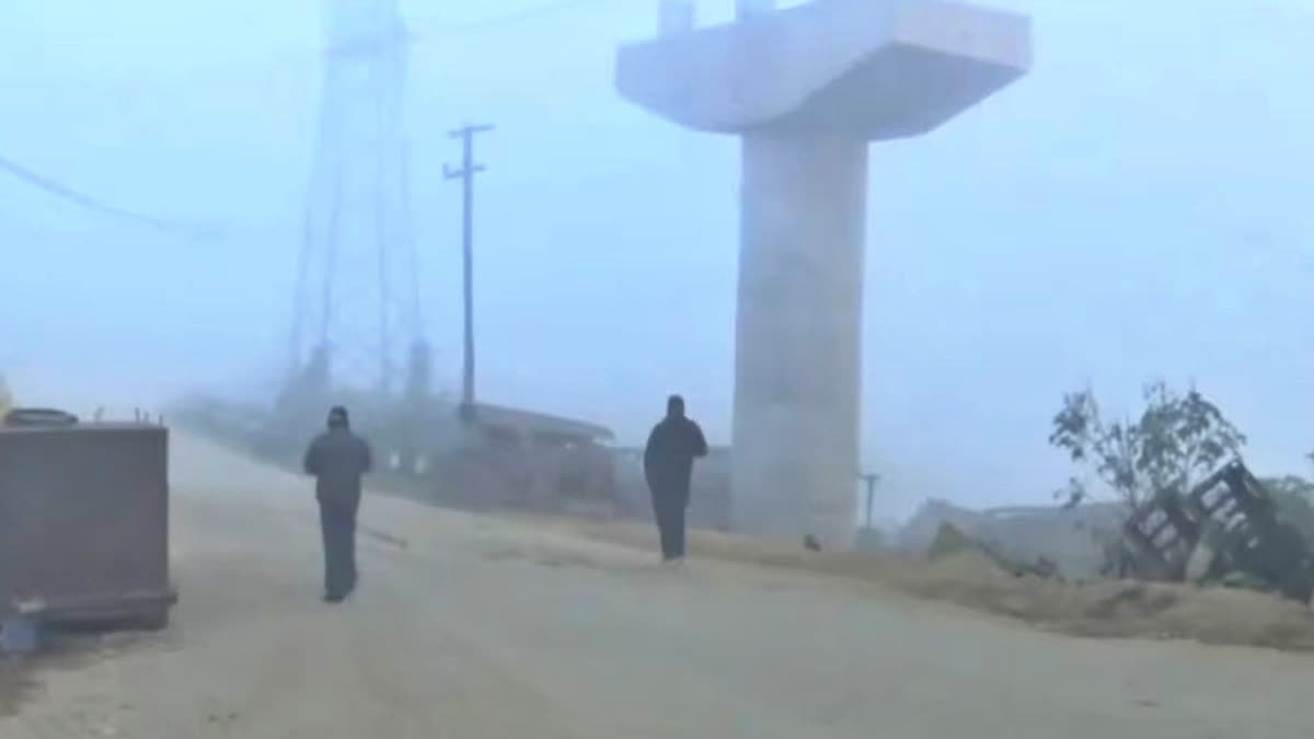 Dense fog and cold wave in Assam