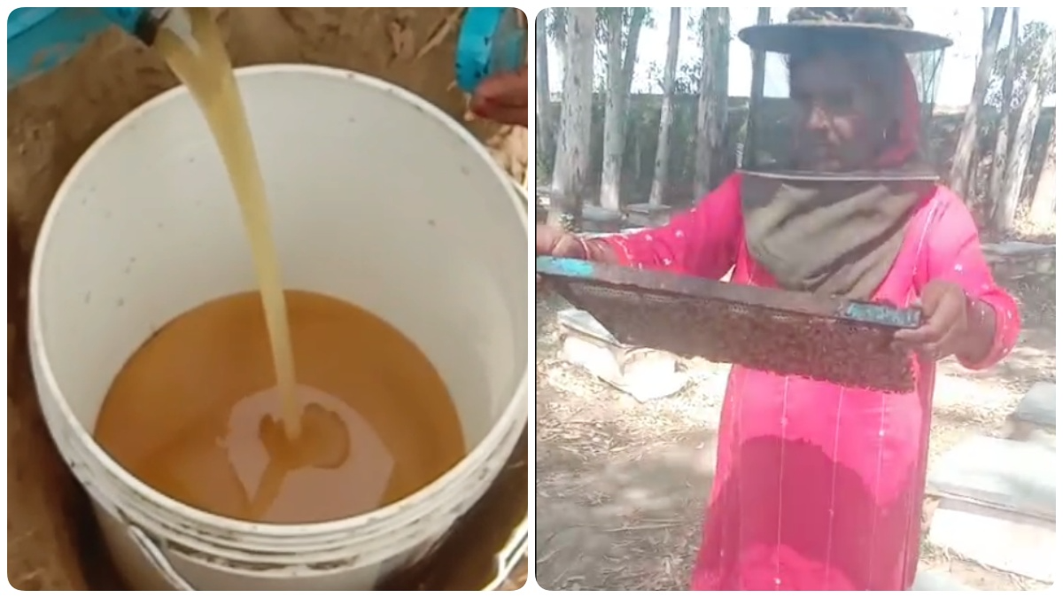 क्या आपने देखी है शुद्ध देसी शहद की इतनी सारी वैरायटी
