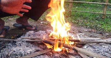 Dense fog and cold wave in Assam