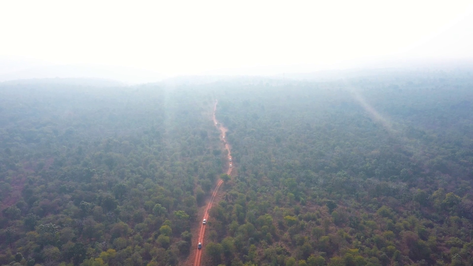 Ratapani Nauradehi Tiger Reserves