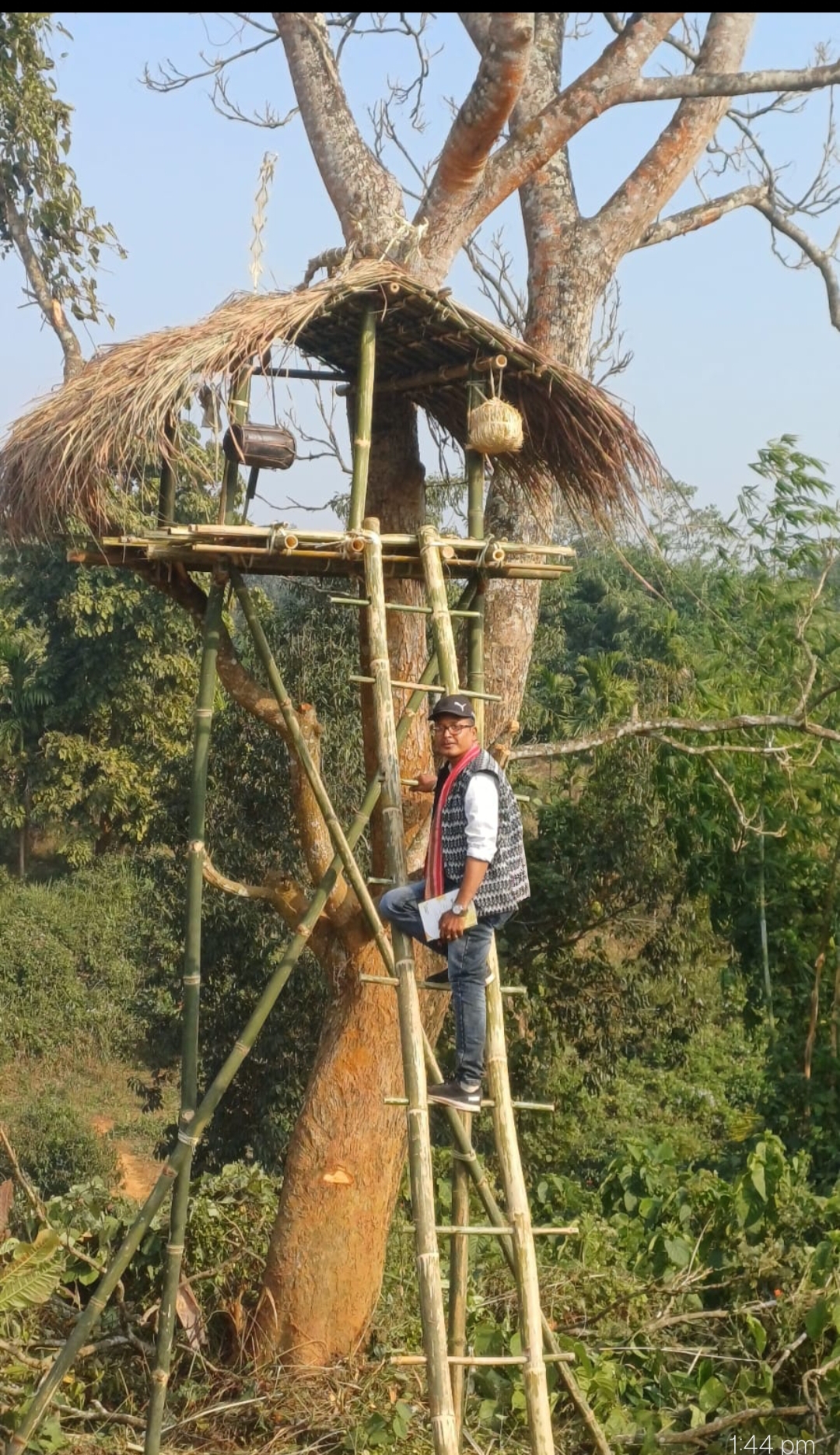 Ampri Valley Orange Festival 2025 has begun in Dimoria