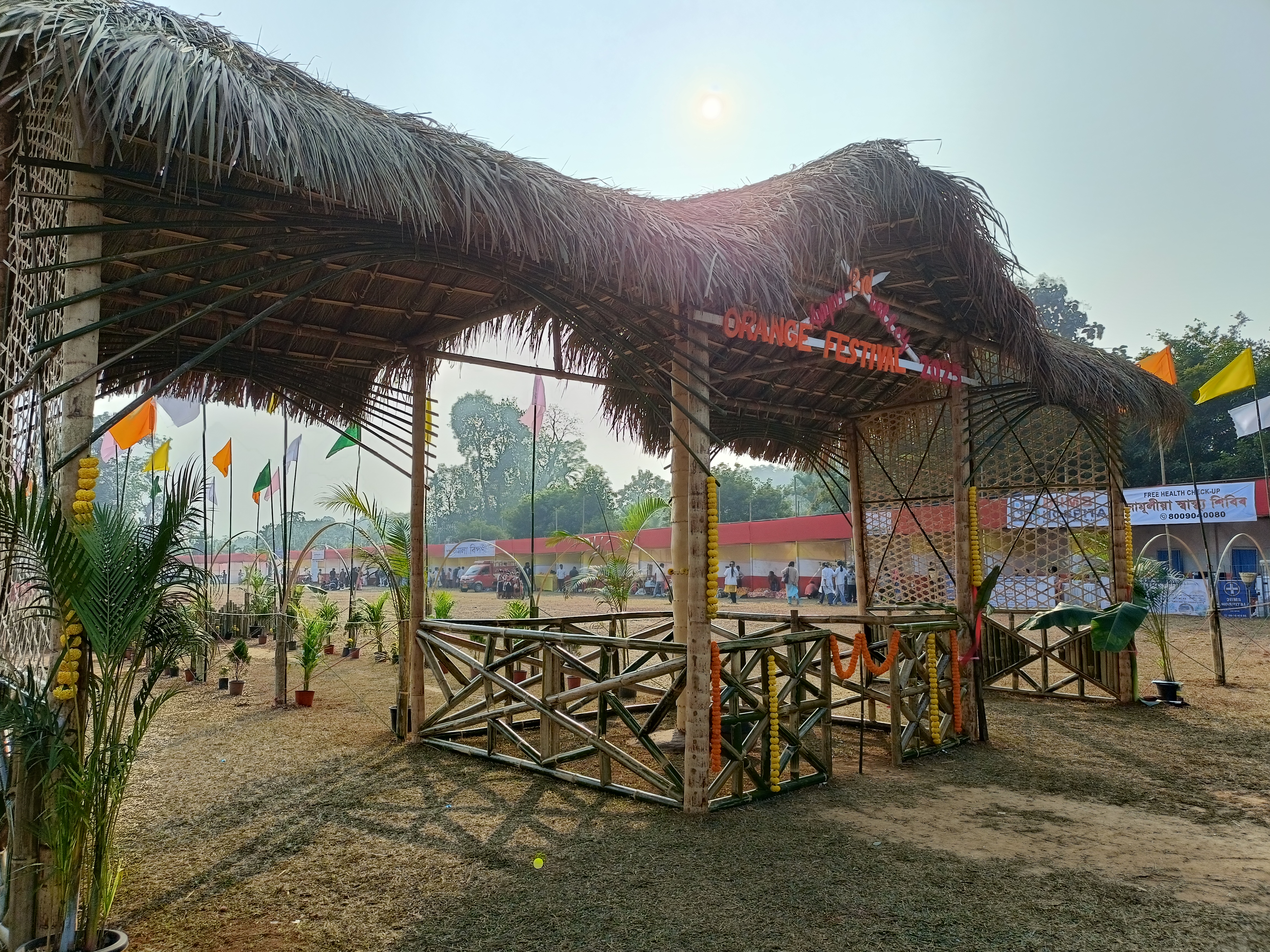 Ampri Valley Orange Festival 2025 has begun in Dimoria