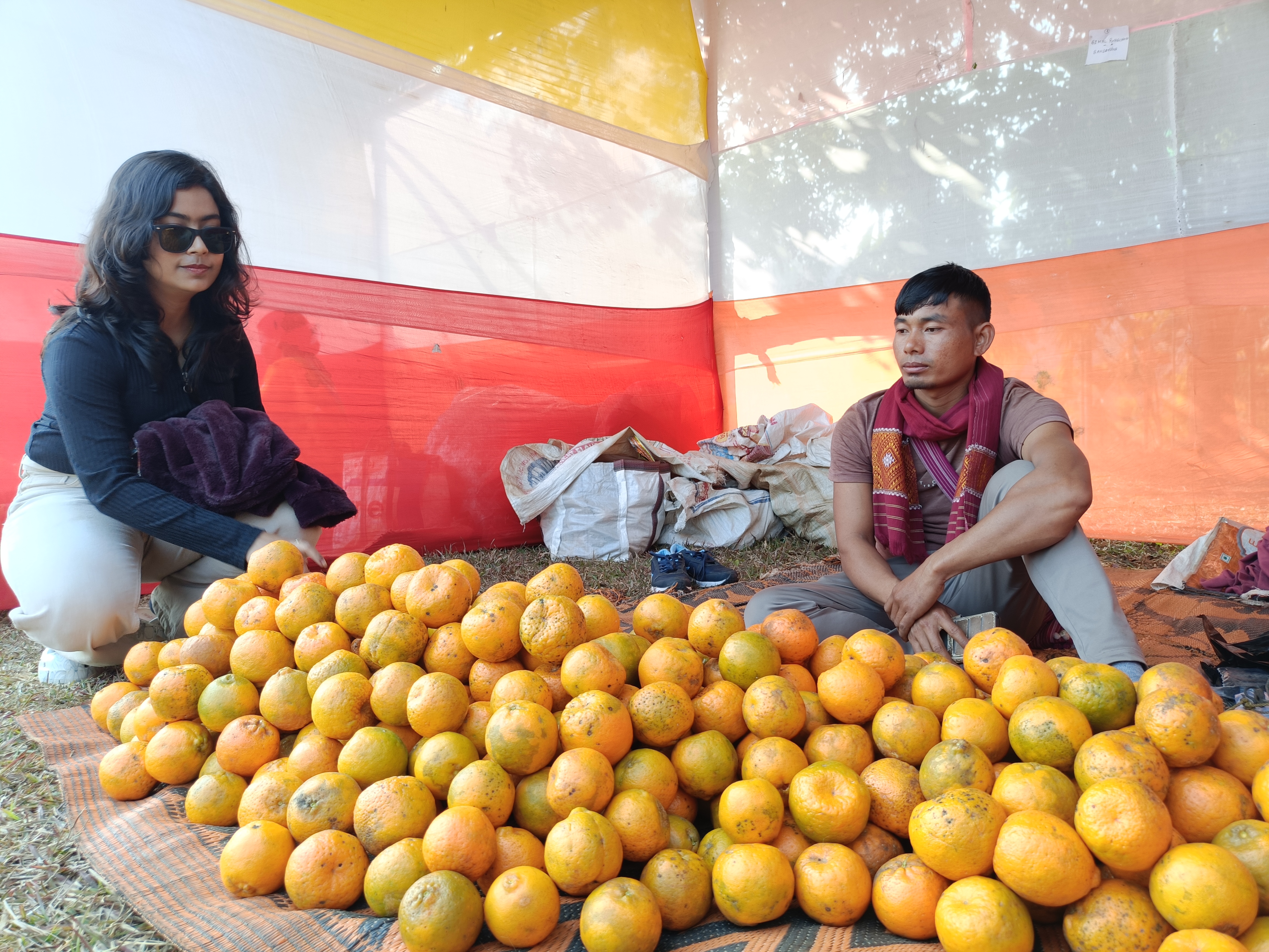 Ampri Valley Orange Festival 2025 has begun in Dimoria