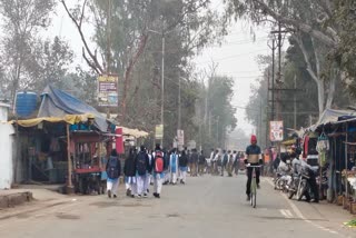 Severe cold in Balrampur