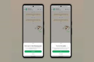 Whatsapp working for subscription feature for  Exclusive Features Customisation Options