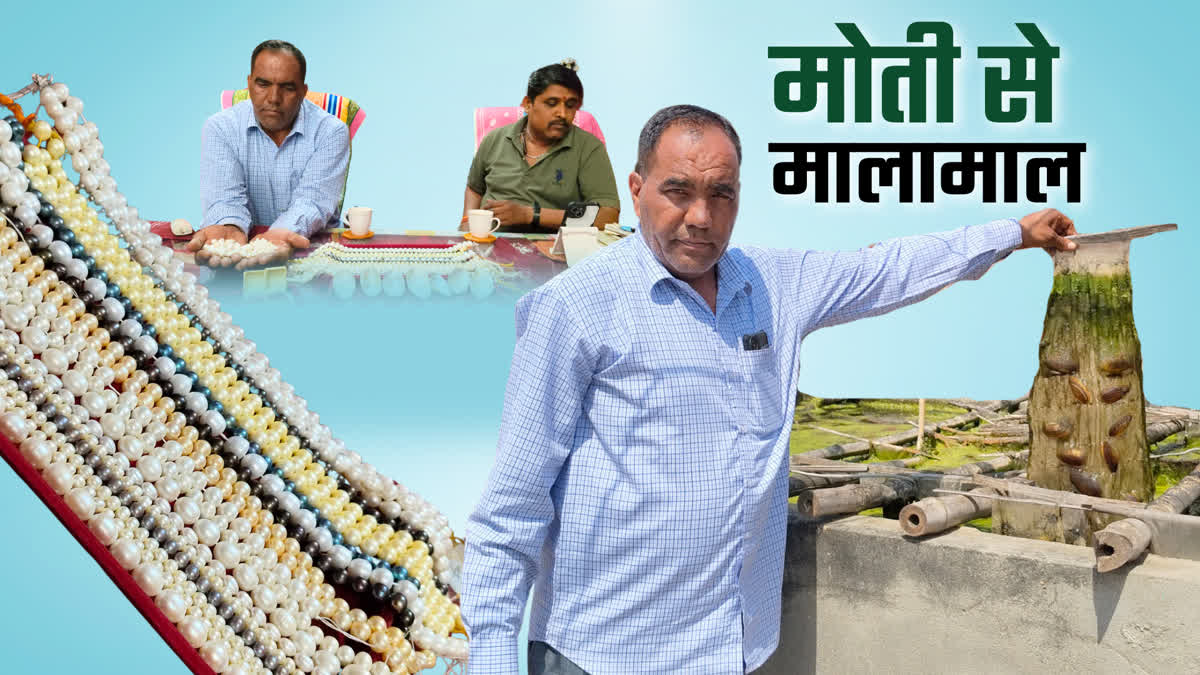 Haryana Kurukshetra Youth left engineering jobs earning crores of rupees from pearl farming in Home supplying in Hyderabad Delhi Mumbai and abroad